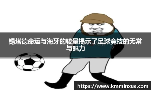 v体育官网新闻